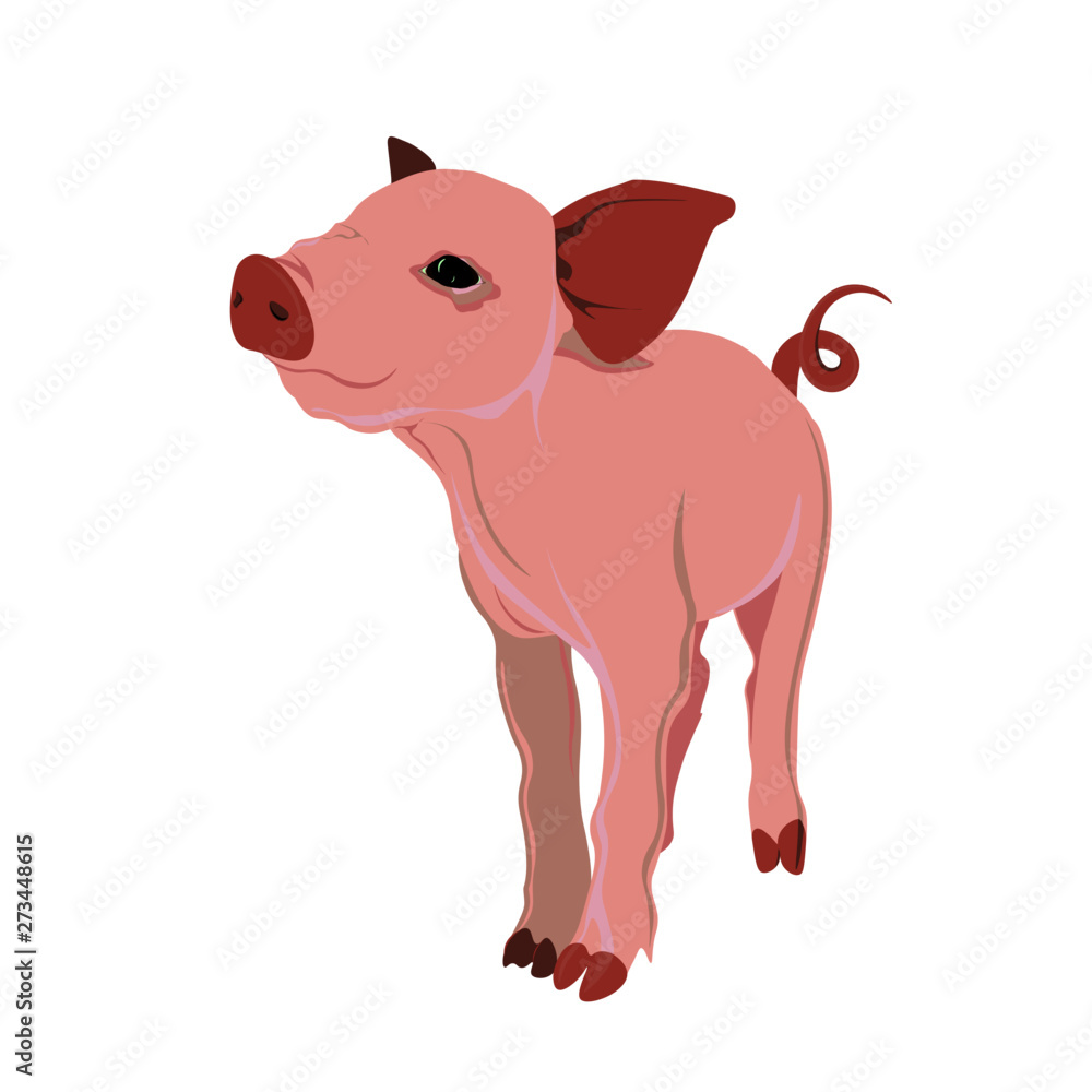 Fototapeta premium pig with sign