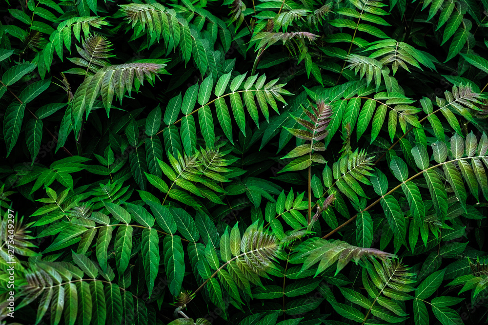 natural leaf pattern