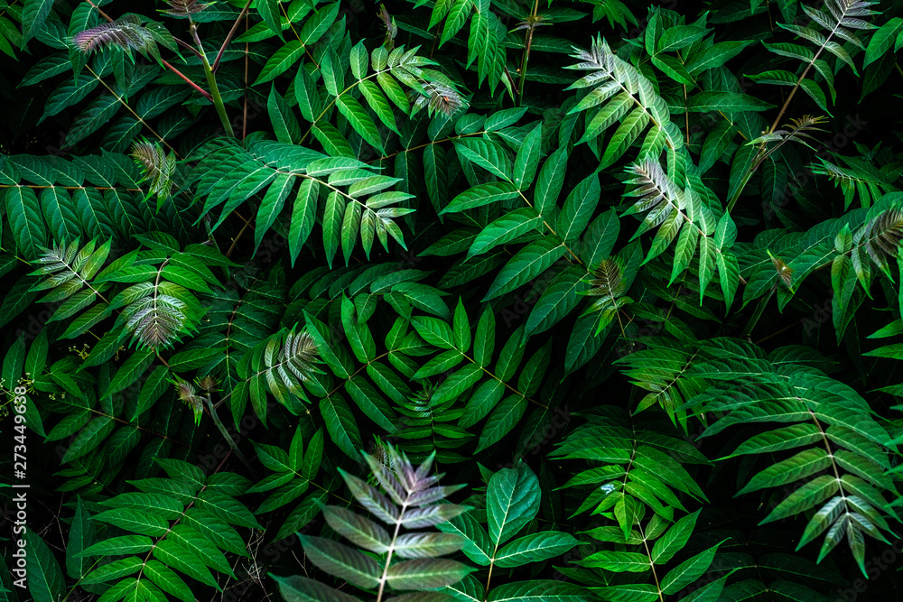 natural leaf pattern