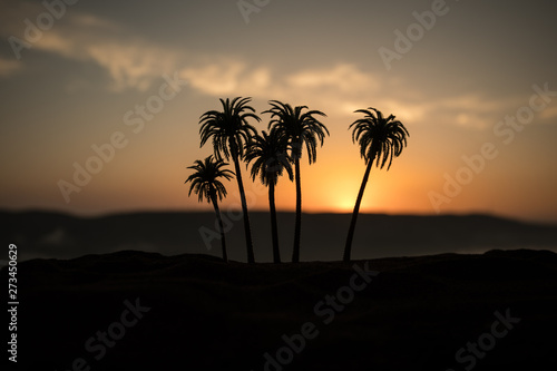 Tropical palm coconut trees on sunset sky nature background. Silhouette coconut palm trees on beach at sunset