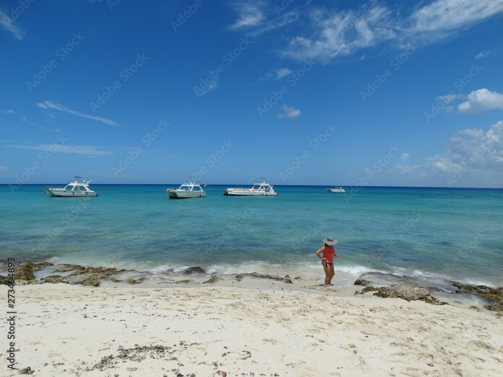 Dominicana. Flora. Fauna. Interesting places. Dominicana. Flora. Fauna. Interesting places.