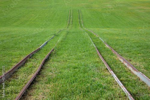 tracks in grass