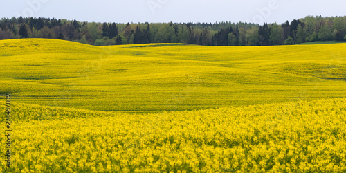 Fototapeta Naklejka Na Ścianę i Meble -  Mazury Garbate 10