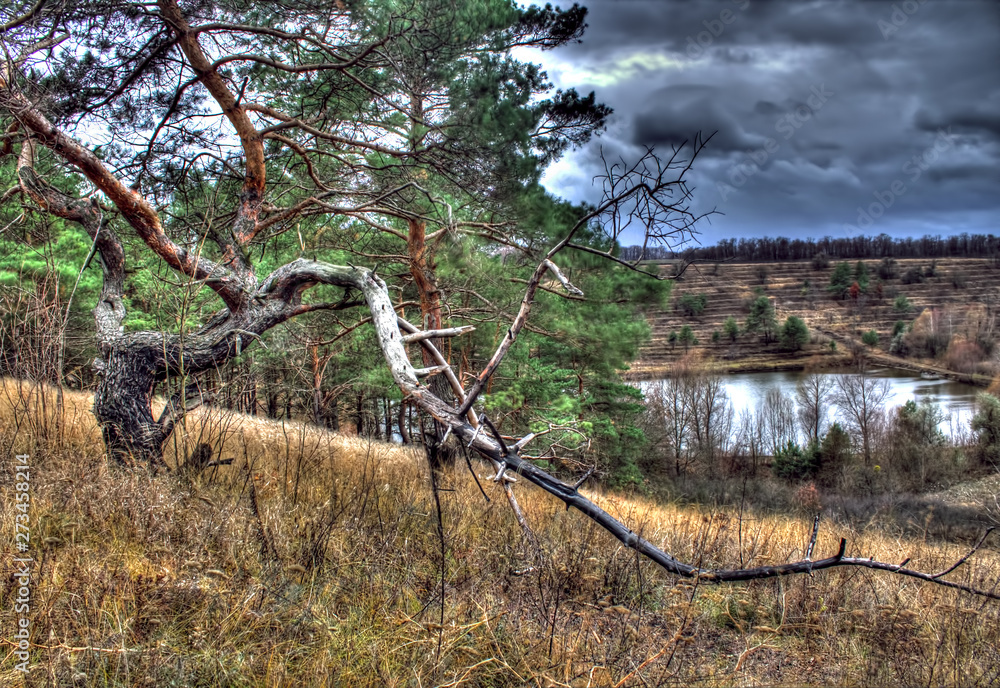 Nature of Cherkasy region - Lonely drying tree against the backdrop of a lake and a stormy sky Nature of Cherkasy region - Lonely drying tree against the backdrop of a lake and a stormy sky