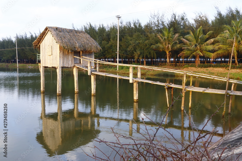 Coastal clam farm in Thai Binh province, Vietnam Coastal clam farm in Thai Binh province, Vietnam