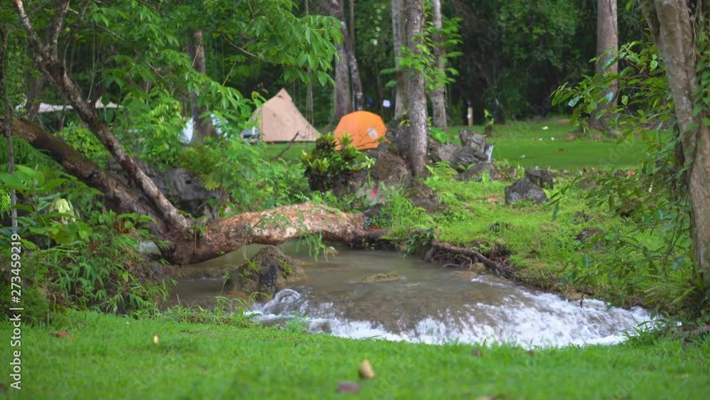 camping tent on stream with log tree in green jungle or nature forest for summer holiday relax and vacation travel trip with trekking picnic on meadow or grass at kroeng krawia in national park 4K camping tent on stream with log tree in green jungle or nature forest for summer holiday relax and vacation travel trip with trekking picnic on meadow or grass at kroeng krawia in national park 4K