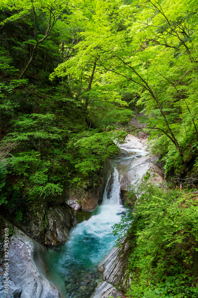 新緑の西沢渓谷 新緑の西沢渓谷