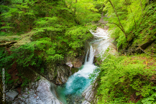 新緑の西沢渓谷