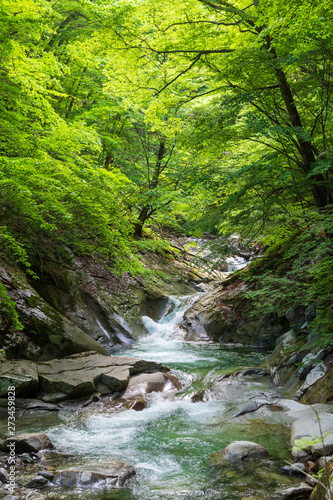 新緑の西沢渓谷