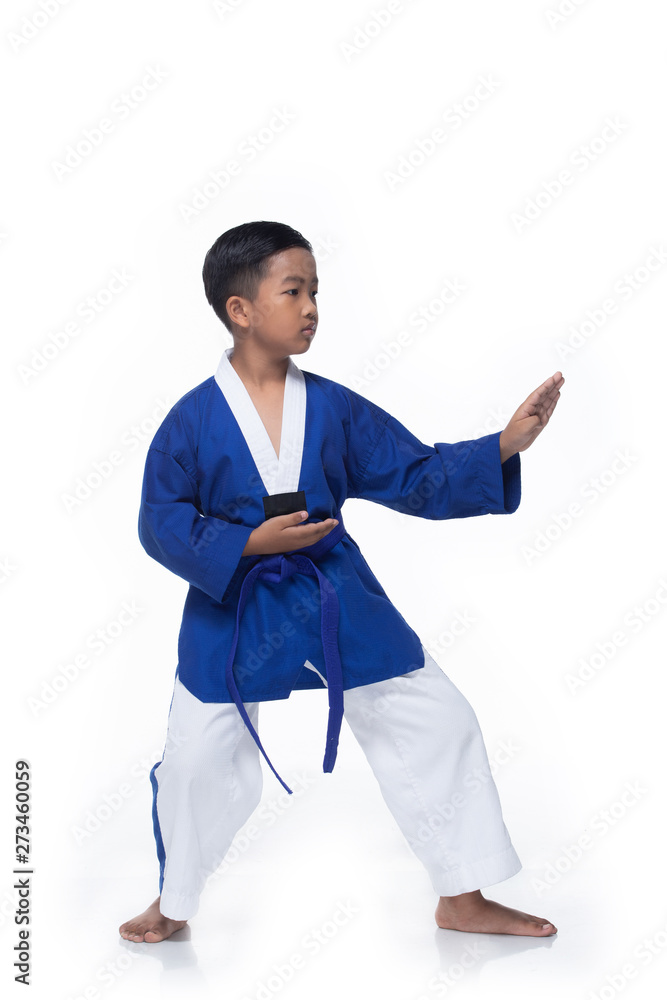 Master Blue Belt TaeKwonDo Kid show fighting pose, Asian Teenager Boy athletes exercise warm up in Blue uniform Whit pants bare foots, studio lighting white background copy space Master Blue Belt TaeKwonDo Kid show fighting pose, Asian Teenager Boy athletes exercise warm up in Blue uniform Whit pants bare foots, studio lighting white background copy space