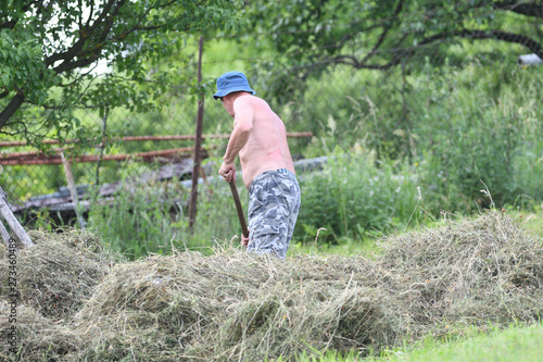 Farmer raking hay by rakes on meadow traditional 