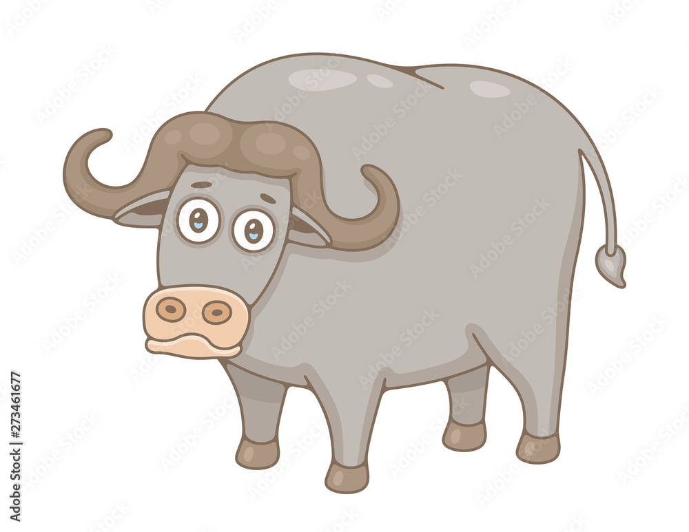 Buffalo. isolated on white background Buffalo. isolated on white background