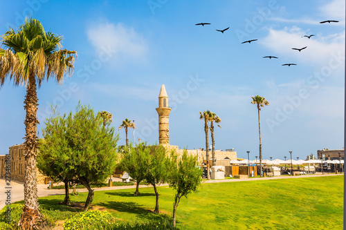 Flock of migratory birds flies in the blue sky photo