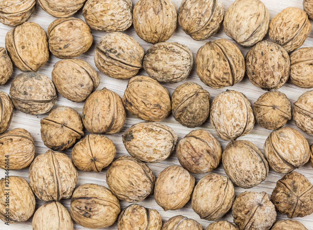 one layer of unshelled walnuts; pattern image one layer of unshelled walnuts; pattern image