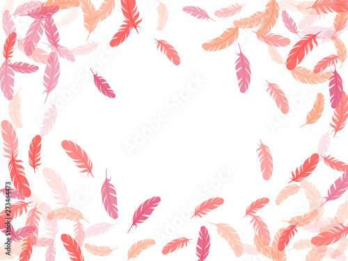 Flying feather elements airy vector design.