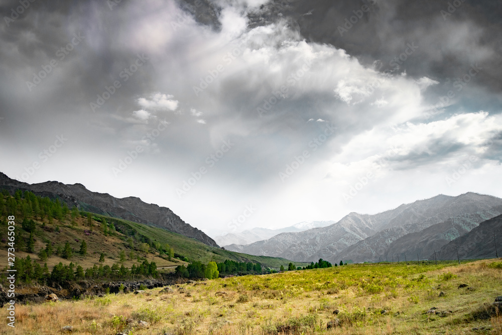 Mountains in the Altai in the summer Mountains in the Altai in the summer