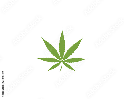 Canabis leaf template vector illustration icon design 