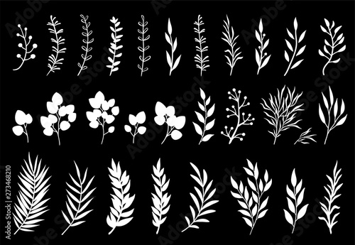 Set of white tree branches and leaves
