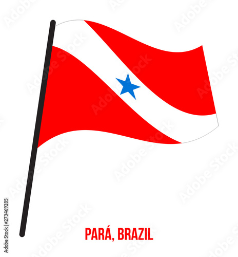 Para Flag Waving Vector Illustration on White Background. States Flag of Brazil