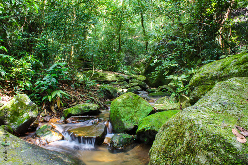 Small stream in the Atlantic forest in the middle of Rio de Janeiro, Brazil (TIJUCA FOREST) photo