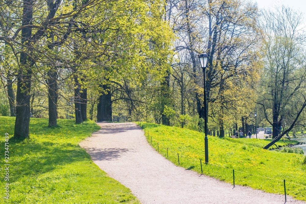 Spring Park in sunny weather. Sunny park. Green Park. Young greens. Background spring green park.