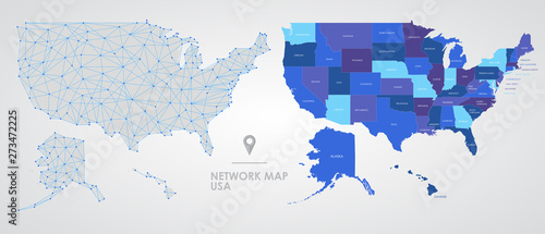 Telecommunications network of the USA, Abstract mesh polygonal geographic map, detailed map of the states of America