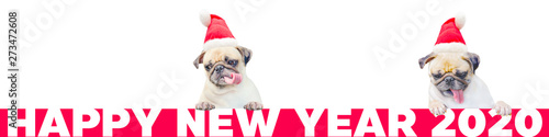 Two Cartoon Little Pug Dog in a red christmas hat with number 2020. Cute cartoon christmas animal dog. Christmas and New Year Banner. (Happy New Year 2020 Concept). © fongleon356