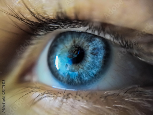 Beautiful blue eye in macro.