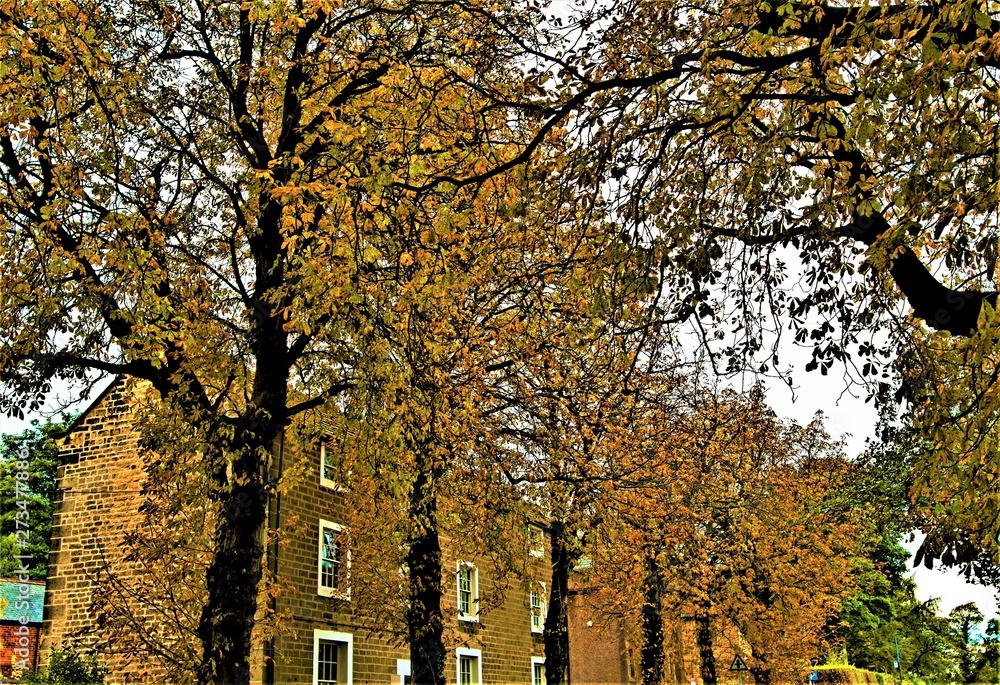 Wistful autumnal melancholy in High Melton, Doncaster Wistful autumnal melancholy in High Melton, Doncaster