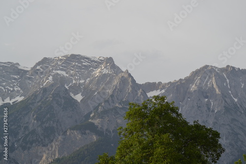 Berge und Baum