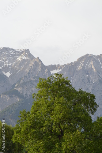 Berge und Baum