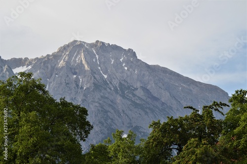 Berge und Baum
