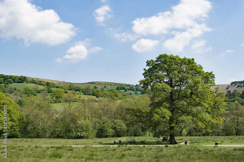 Picturesque view along the pathway to Stannage Edge, Derbyshire 
