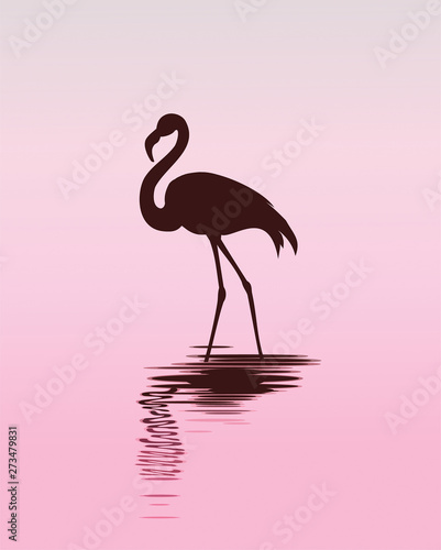 ПSilhouette of a flamingo in a pink sunset. Flamingo postcard.