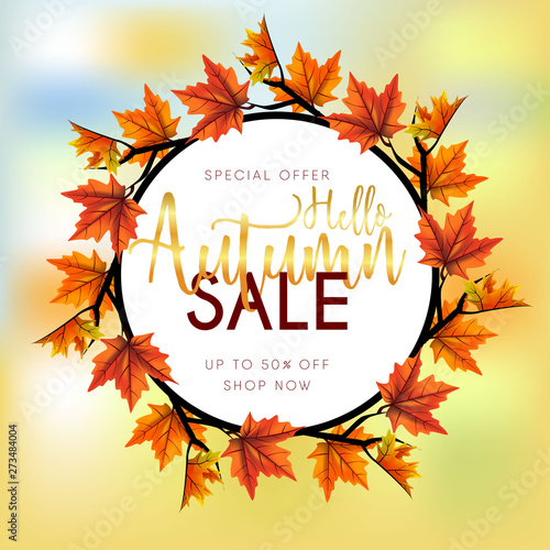 autumn sale background with leaves maple round frame