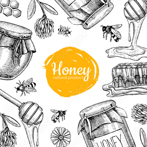 Vector honey bee hand drawn illustrations.  Honey banner, poster