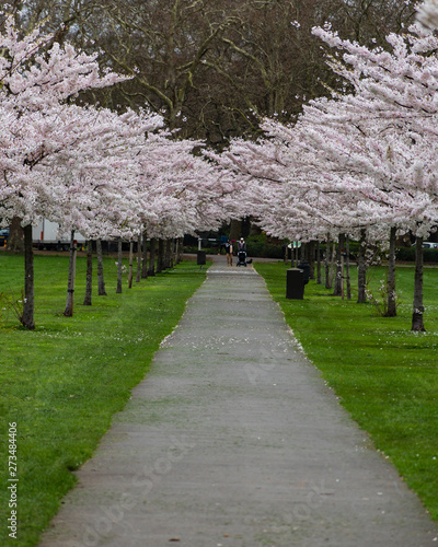 London - Battersea Park - March 20, 2019 photo