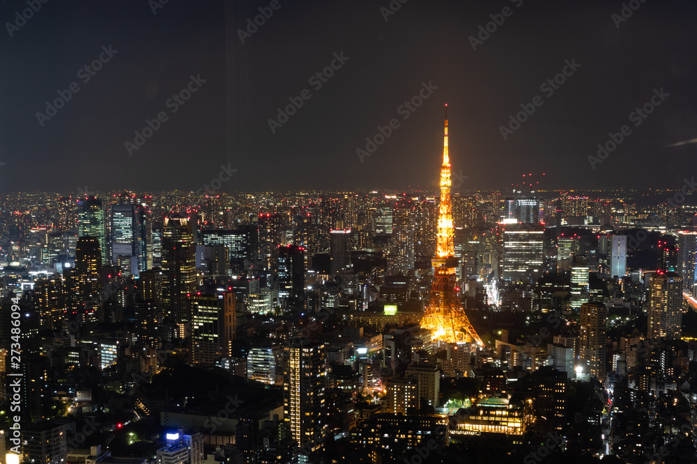 Night streets of Tokio from the view point fo Rapongi hills