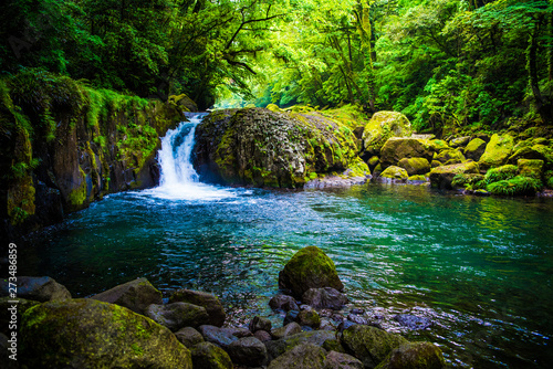 Kikuchi valley, waterfall and ray in forest, Japan