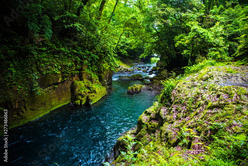 Kikuchi valley, waterfall and ray in forest, Japan