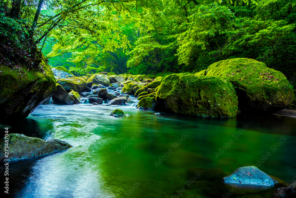 Kikuchi valley, waterfall and ray in forest, Japan