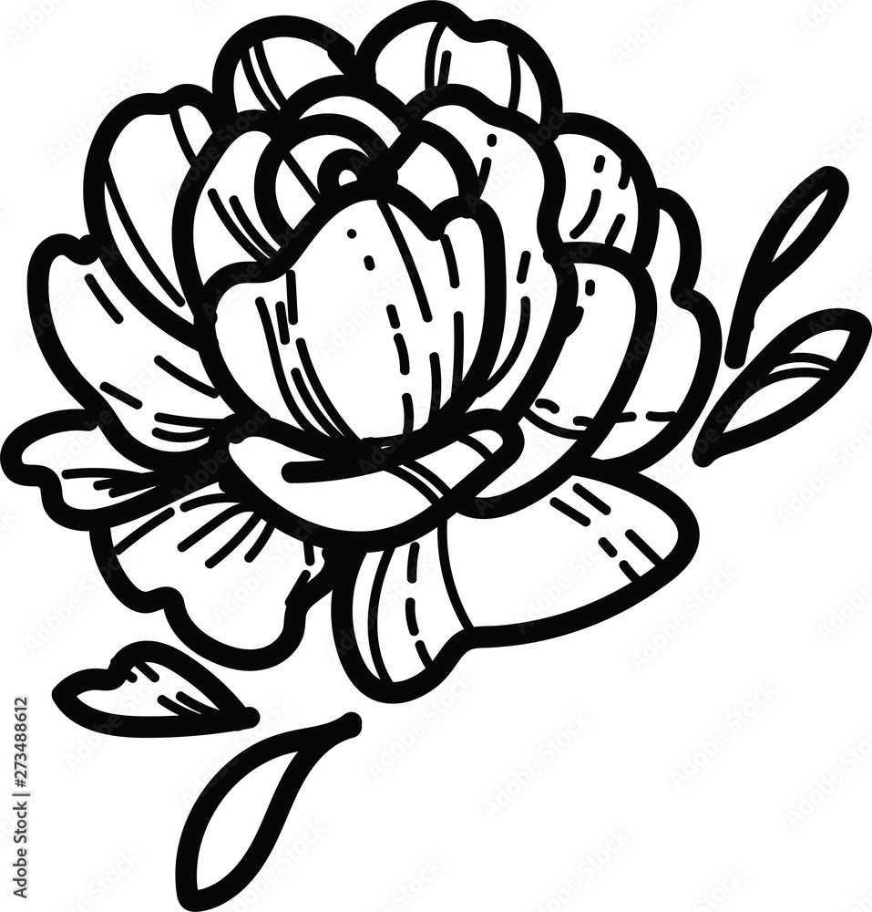 Line art and sketch black illustration on the white isolated background. Line art and sketch black illustration on the white isolated background.