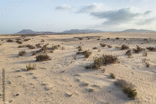 sand and volcanic mountains at the natural park of Corralejo, Fuerteventura, Canary islands, Spain.