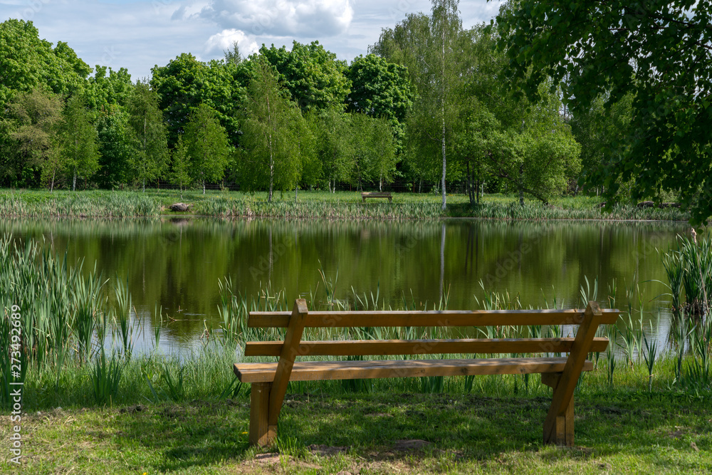 Деревянная скамейка на берегу пруда. Летний день.