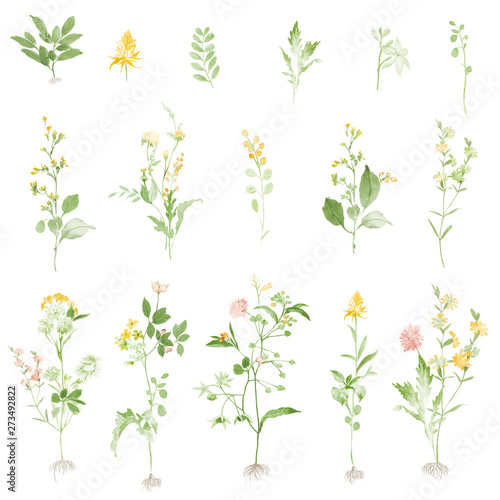 Floral pattern for wallpaper or fabric