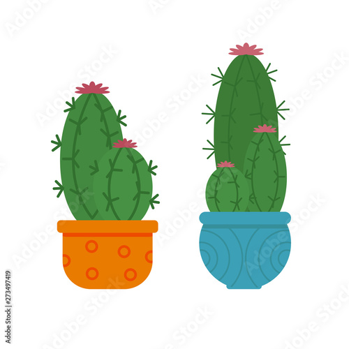 Set of cacti and succulents in flower pots. The landscaping of the room.