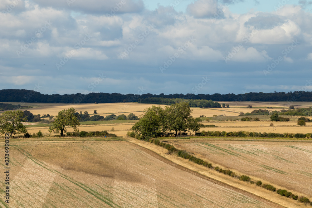 Obraz premium The Cotswolds