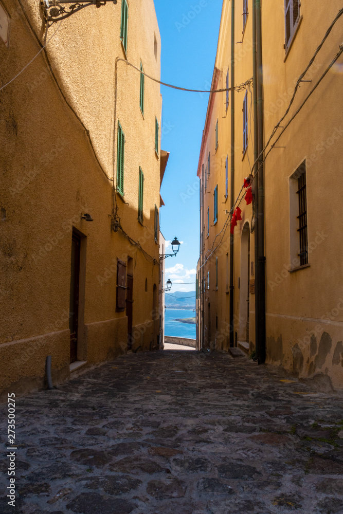 Fototapeta premium the italian island sardinia in mediterranean sea