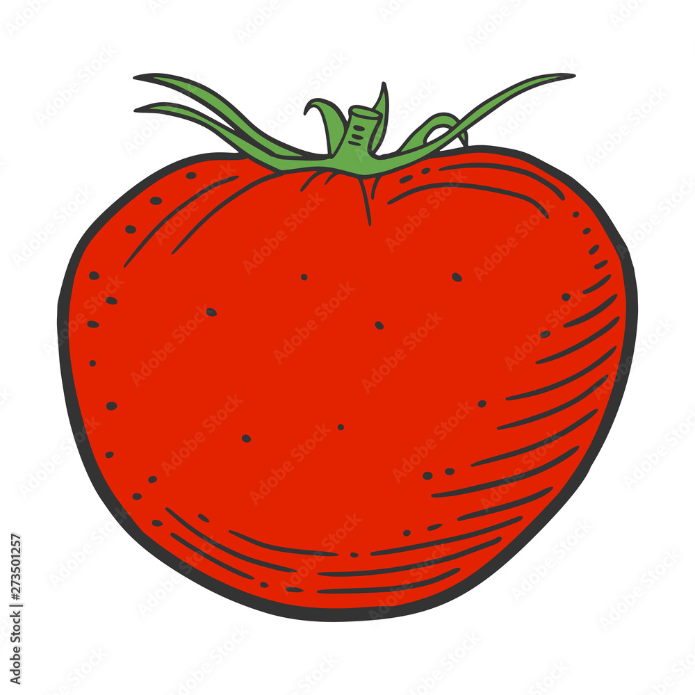 Ripe tomato. Vector concept in doodle and sketch style. Ripe tomato. Vector concept in doodle and sketch style.