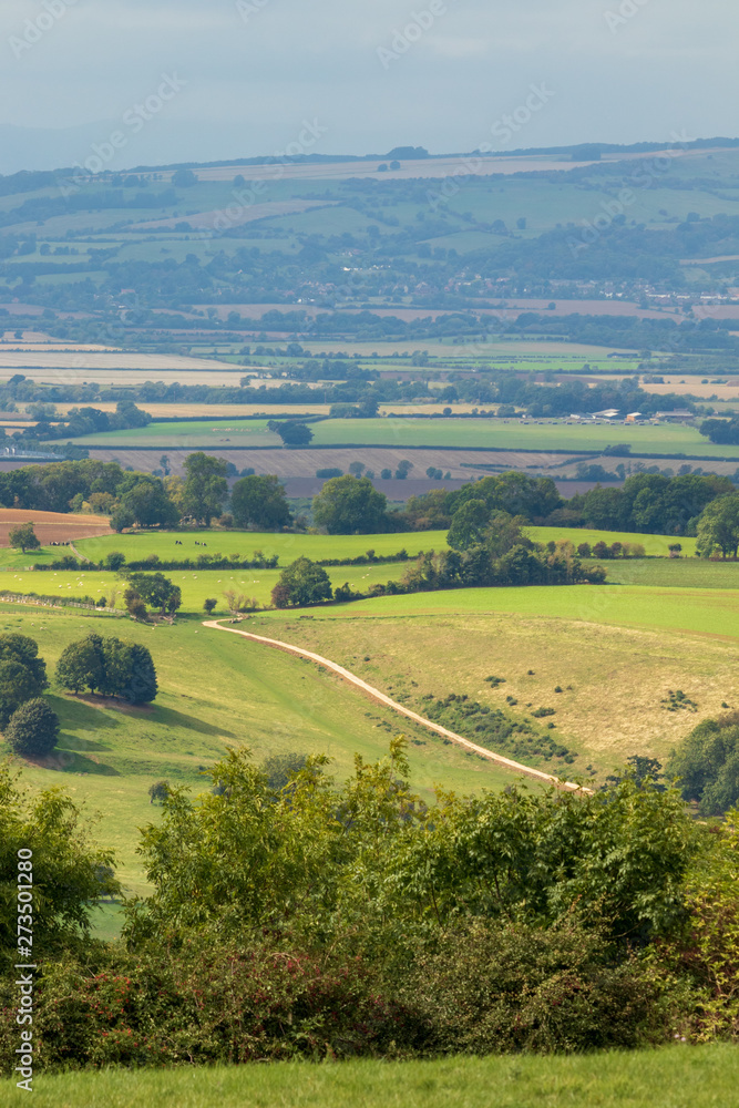 Fototapeta premium The Cotswolds